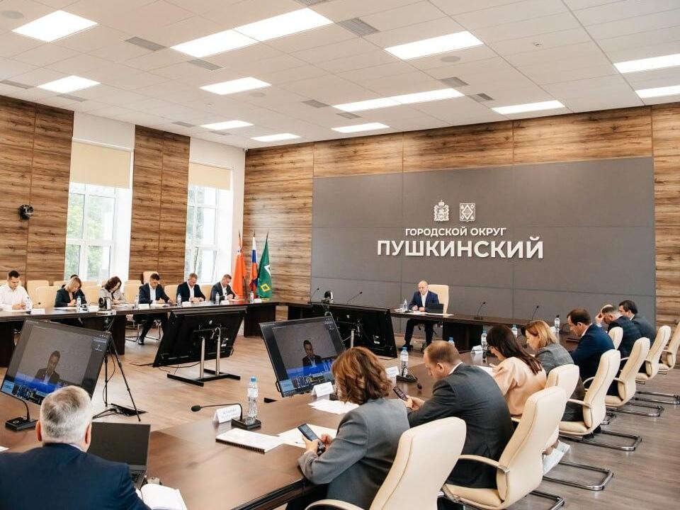 Глава Пушкинского округа отчитался о создании доступной среды