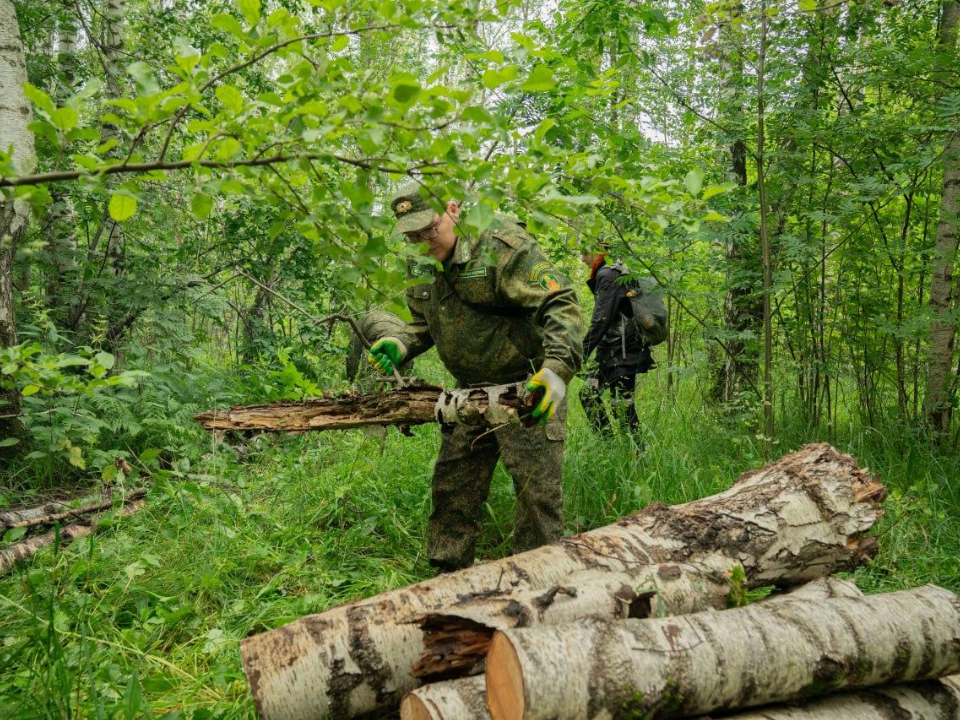 В Домодедове прошла экологическая акция «Чистый лес»