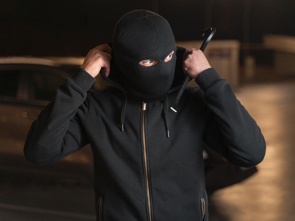 Видеокамера вспугнула воров в коттеджном поселке Братовщина