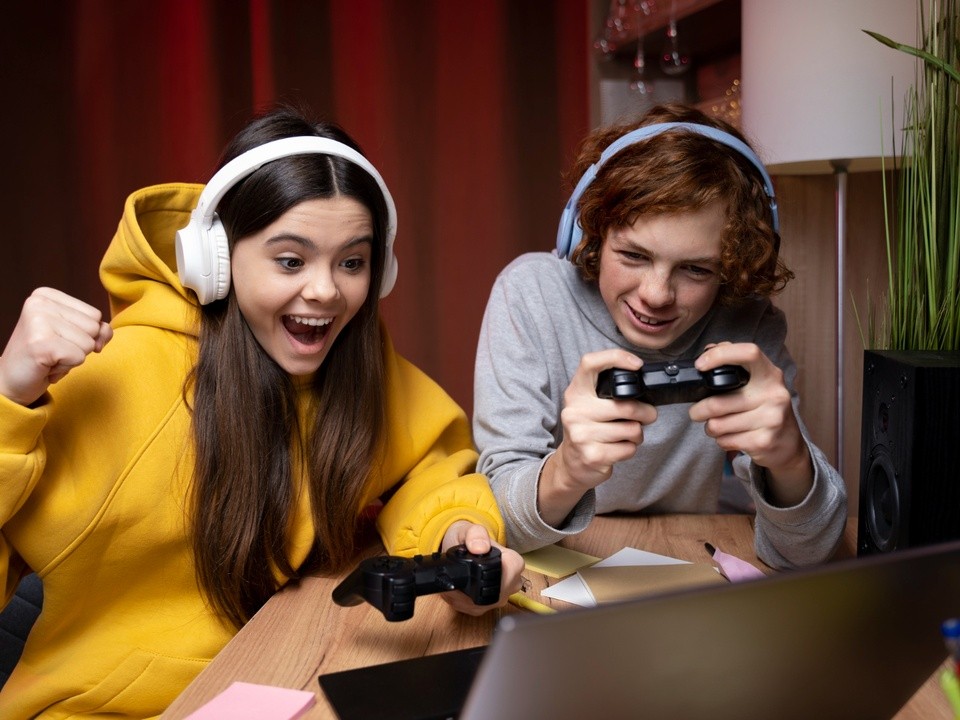 Роскомнадзор потребовал удалить популярную эротическую игру из Steam