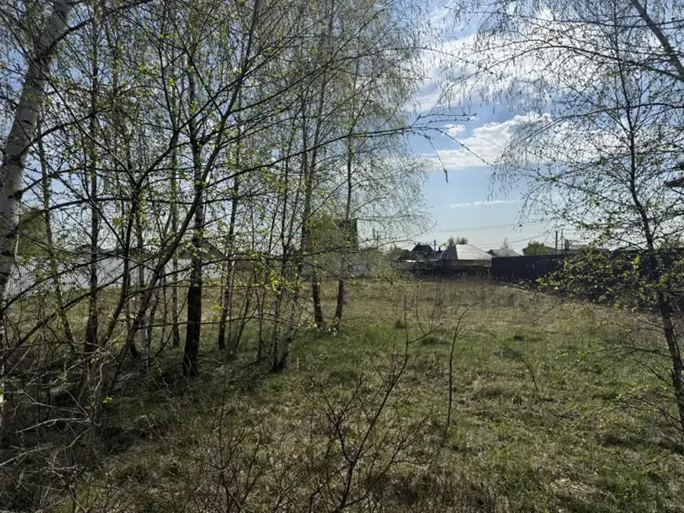 Богородский, Истра и Воскресенск стали лидерами по числу лотов на торгах в Подмосковье