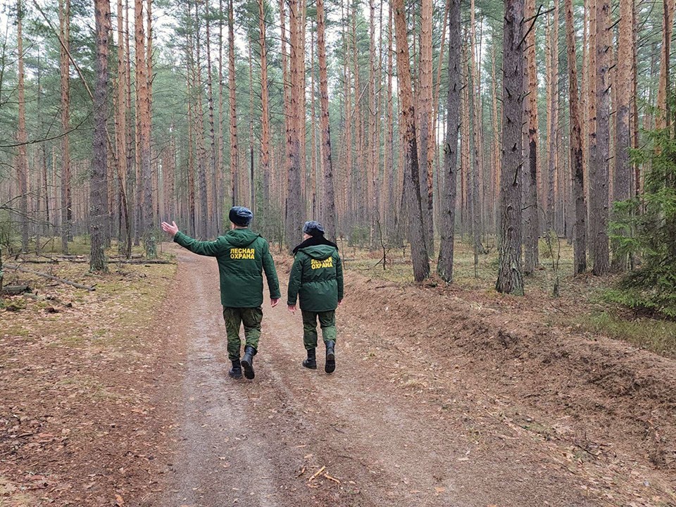 Жителям Шатуры напомнили о штрафах за костры в лесу