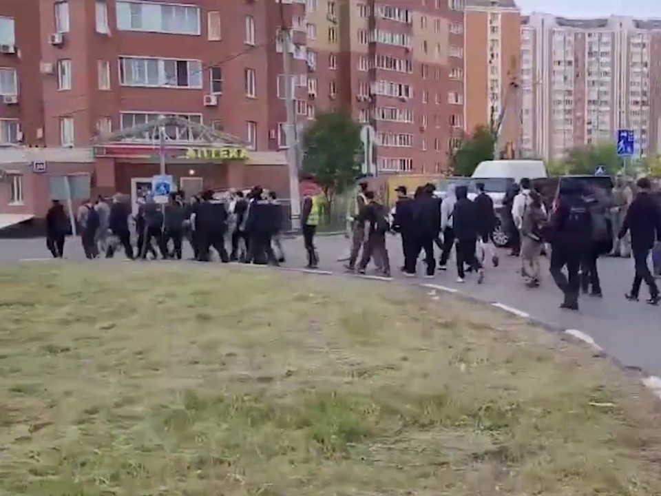 Полицейские выявили 95 нелегальных мигрантов в ходе рейда в Балашихе