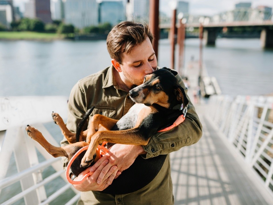 Для владельцев домашних животных в Котельниках появился новый раздел на регпортале госуслуг
