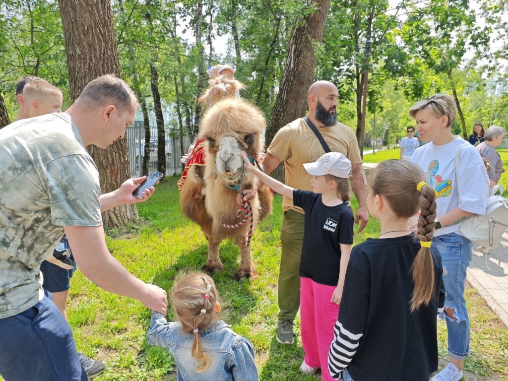 Катание на верблюде и бесплатное мороженое: в Краснознаменске отметили День защиты детей