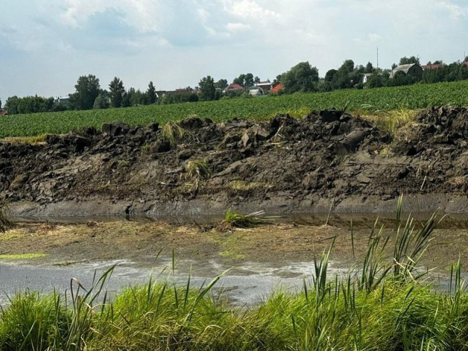 Эконадзор выявил нарушения у озера Черное в Домодедове