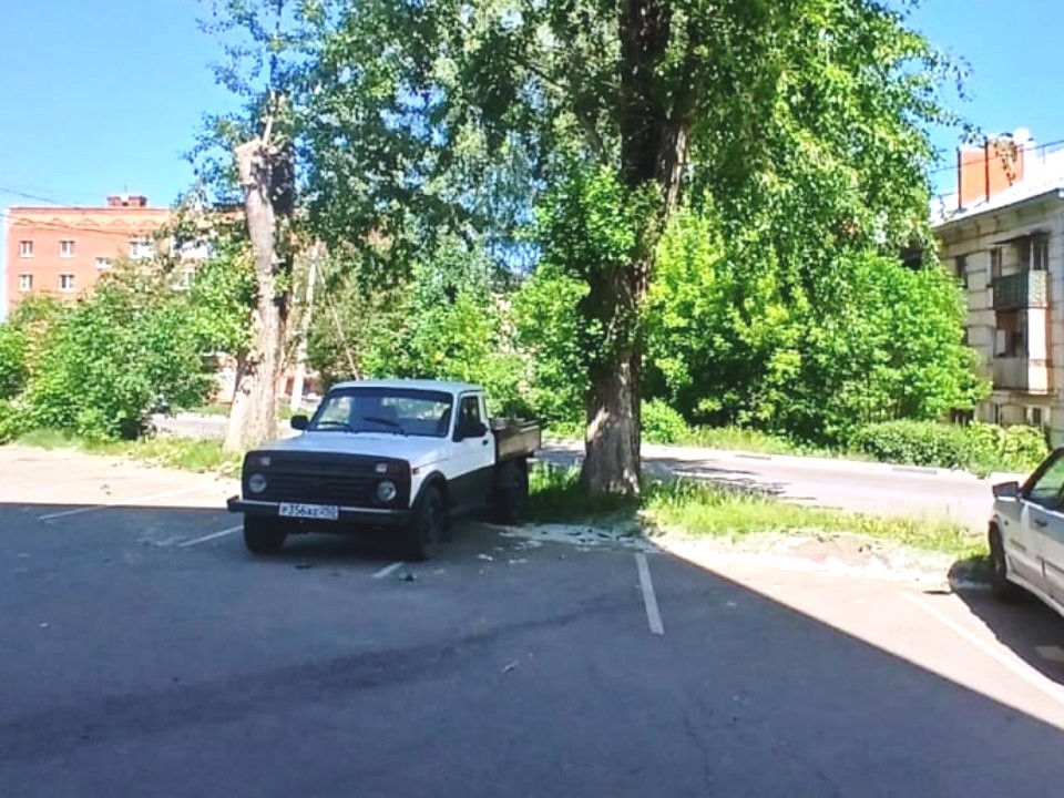 В Кашире-2 убрали дерево, накрывшее при падении две машины