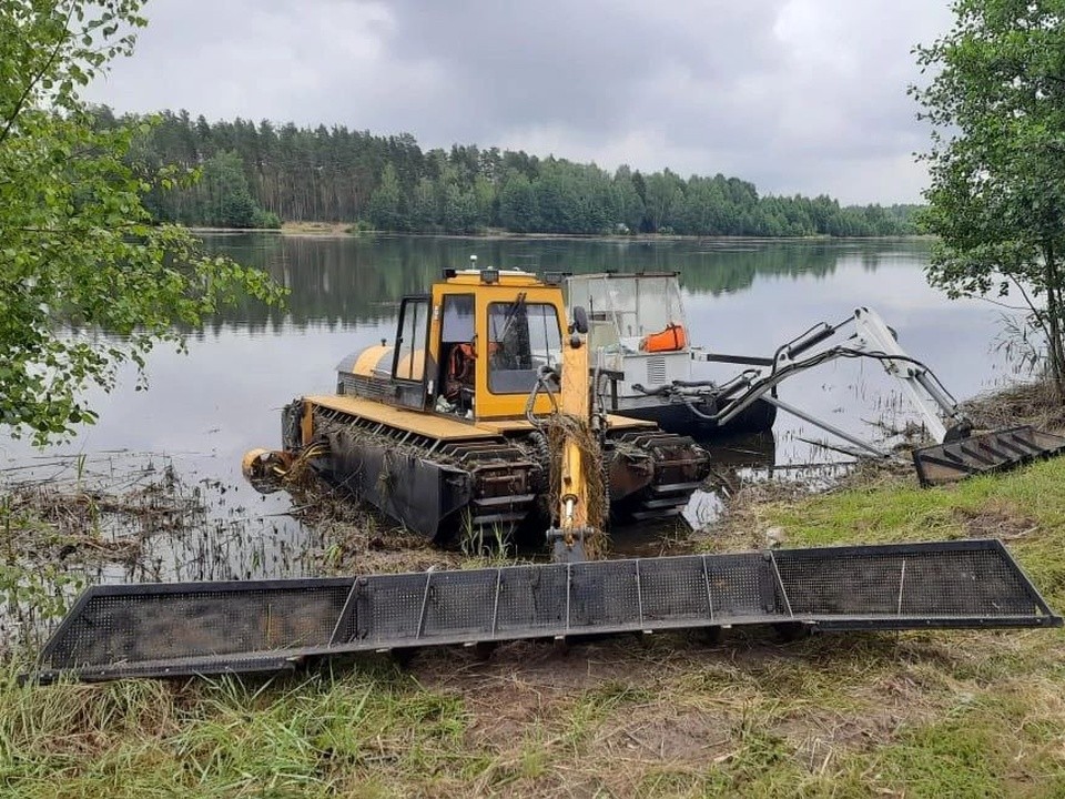 В Орехово-Зуеве карьер «Золотые пески» очистят от водной растительности