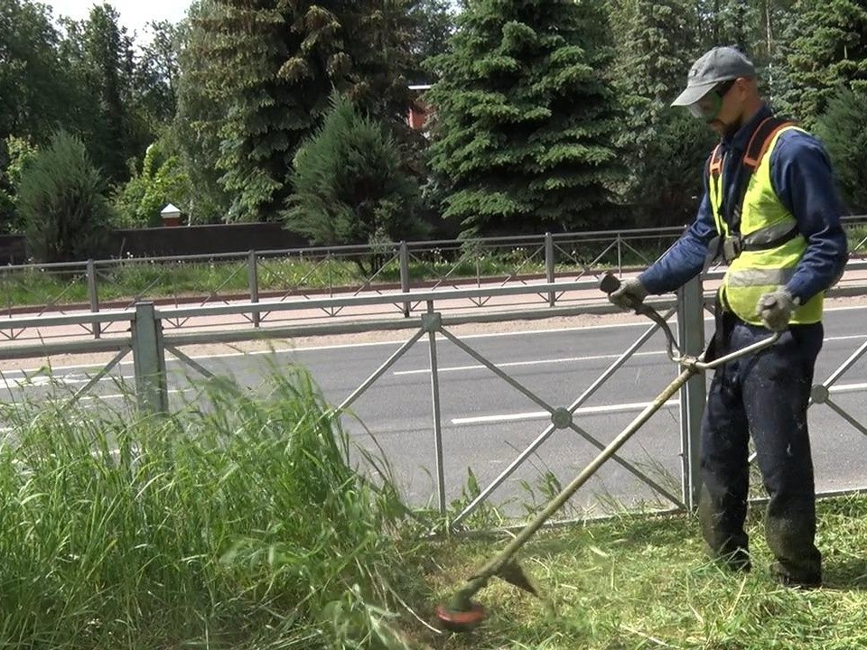В Клину подстригли городские газоны