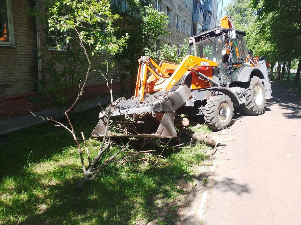 На улице Школьной спилили сухие деревья