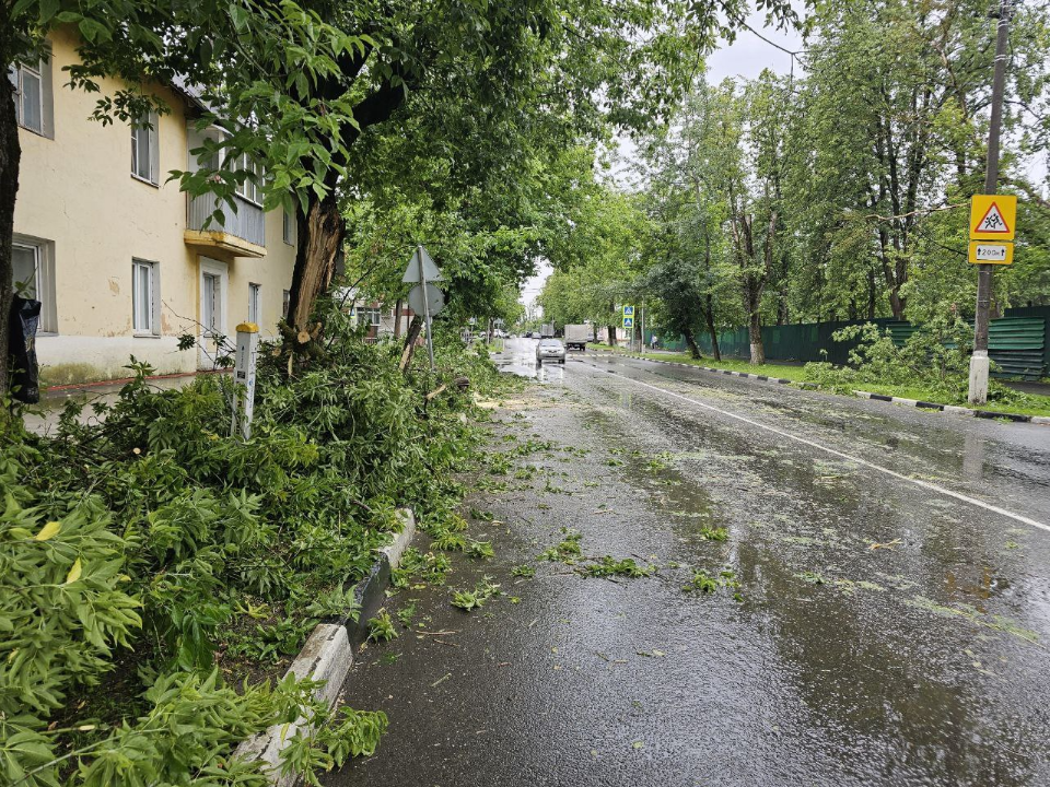 На улице Школьной убрали дерево, упавшее на дорогу из-за сильного ветра