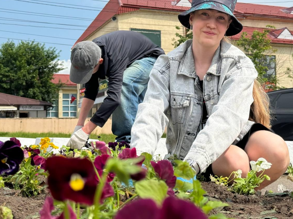 Школьники Можайска высадили петуньи в городские клумбы