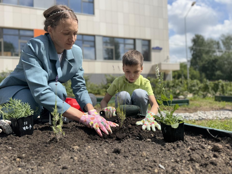 Клонировать растения и варить мыло с травами учат в аптекарском городке Балашихи