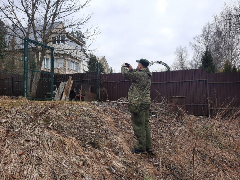 В Подмосковье за незаконное занятие леса грозят штрафы до ₽300 000