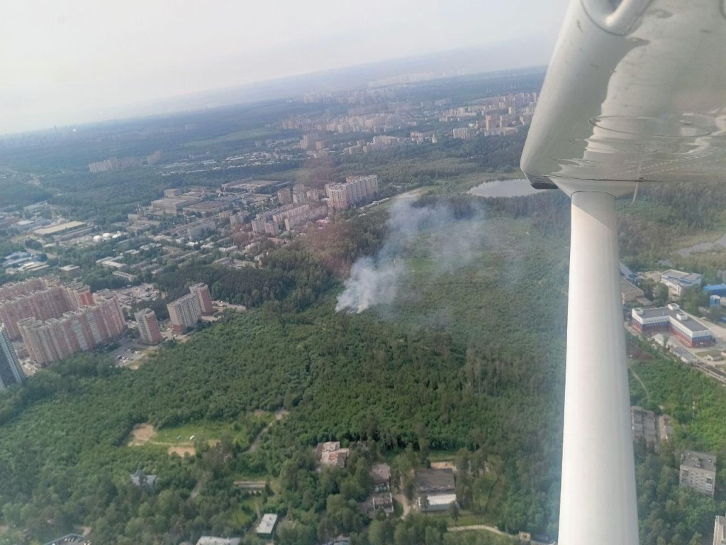 Спасатели Подмосковья потушили один лесной пожар за сутки