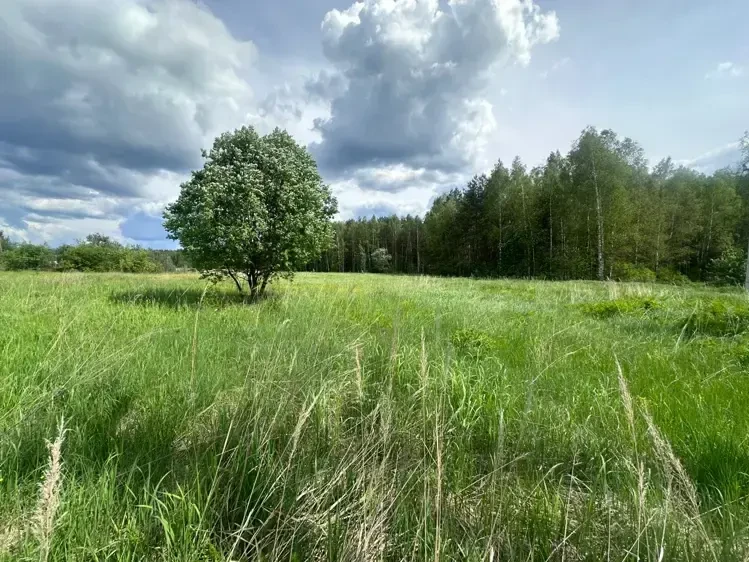 Конкуренция на земельных торгах возросла в Подмосковье