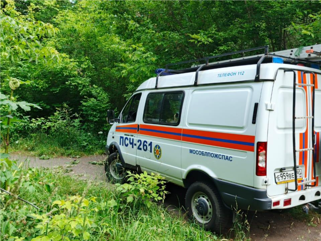 Спасатели нашли потерявшуюся в лесу пенсионерку в округе Коломна