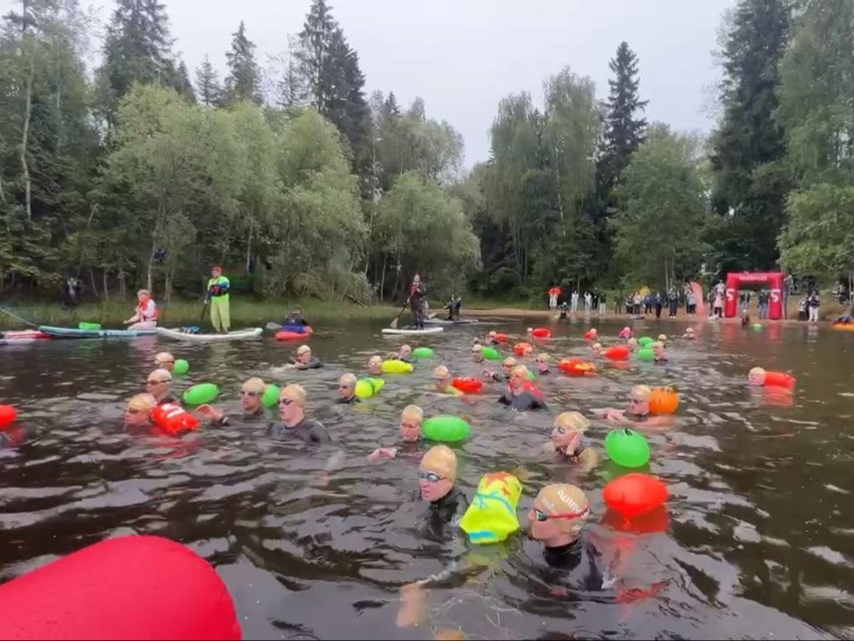 Международный заплыв Swimcup объединил более 500 спортсменов