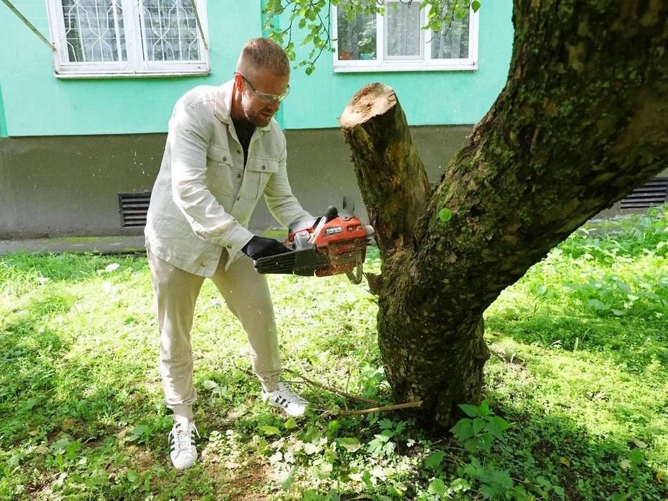 Жители Поведников вместе с управляющей компанией навели порядок в яблоневом саду