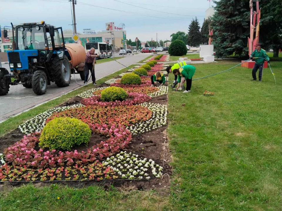 Центральную площадь в Коломне украсит многоцветие однолетников