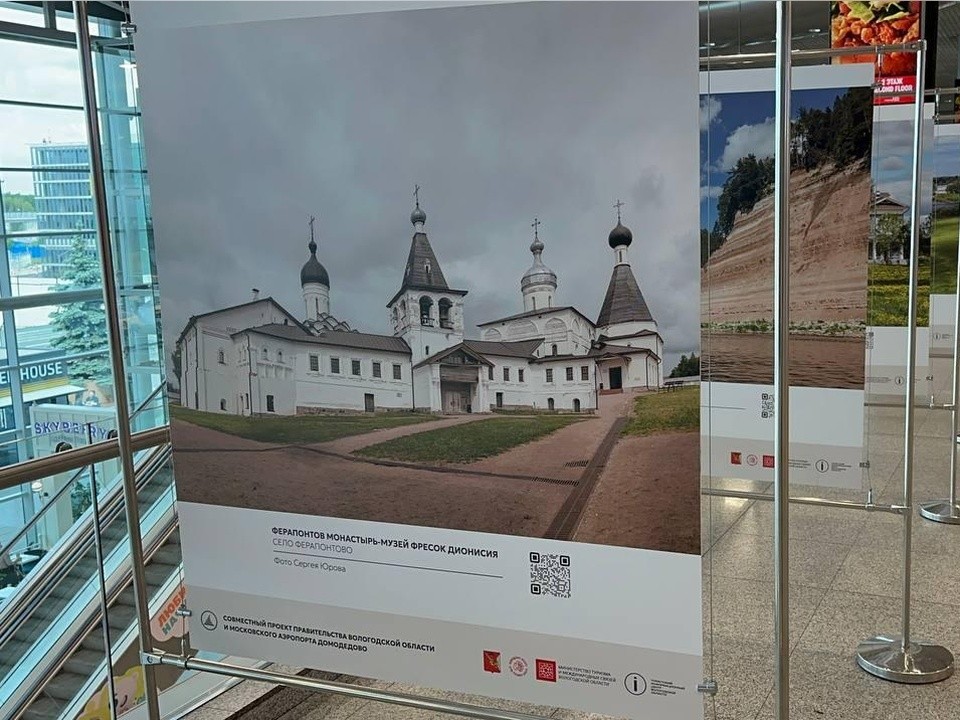 Полюбоваться северными пейзажами теперь можно прямо в аэропорту Домодедово