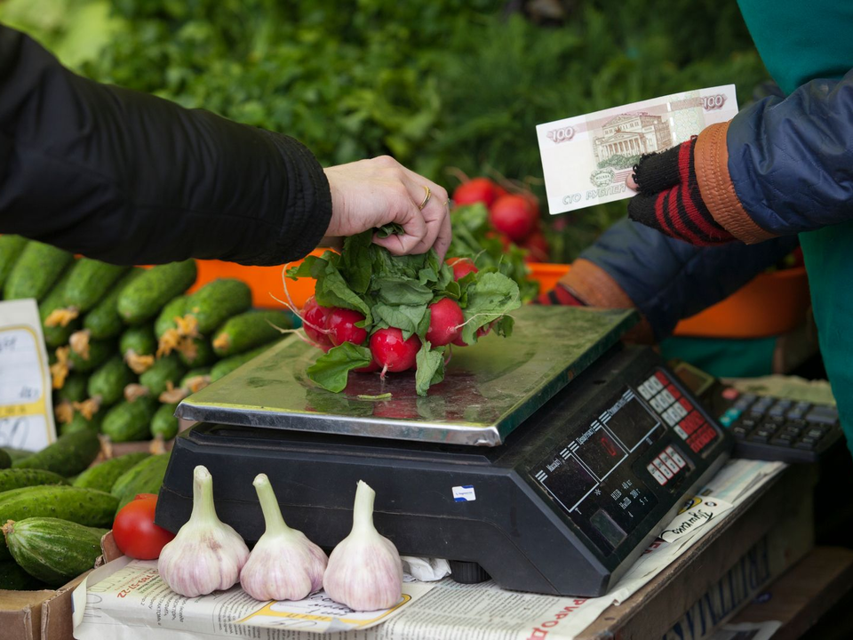 Юрист объяснила, где можно законно продавать дачную продукцию