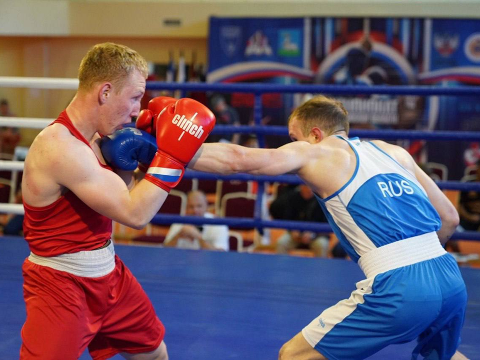 Боксеры из Чехова стали лучшими на взрослом чемпионате Подмосковья