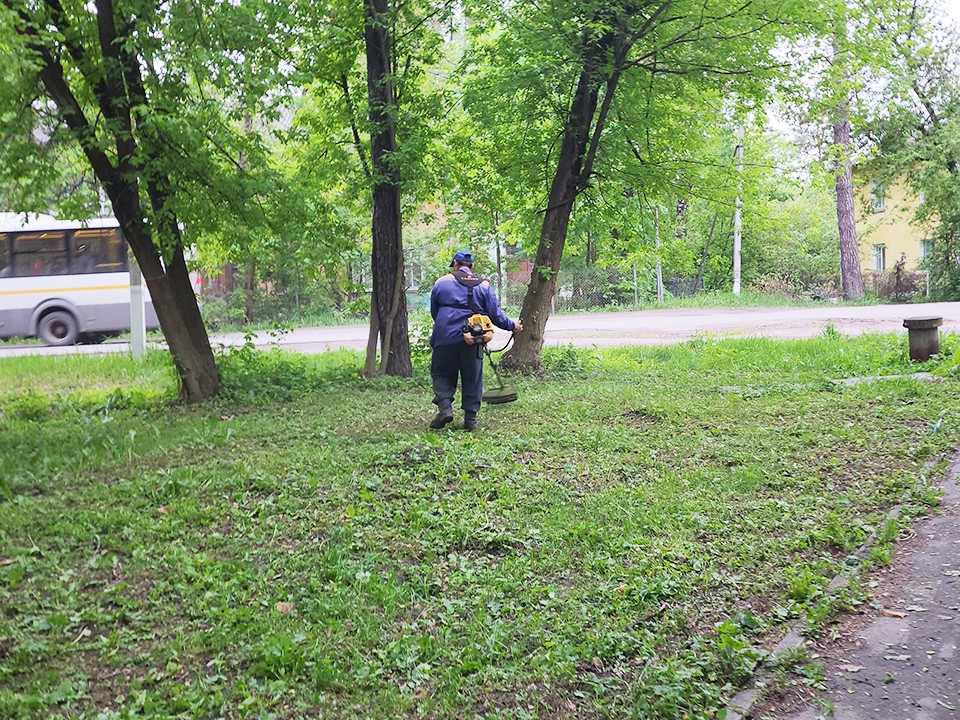 В Красноармейске пожаловались на злоупотребляющих покосом травы «царей» и «царевен»
