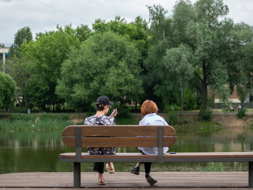 Наташинский парк вводит запрет на электросамокаты и электровелосипеды: как изменилась зона отдыха