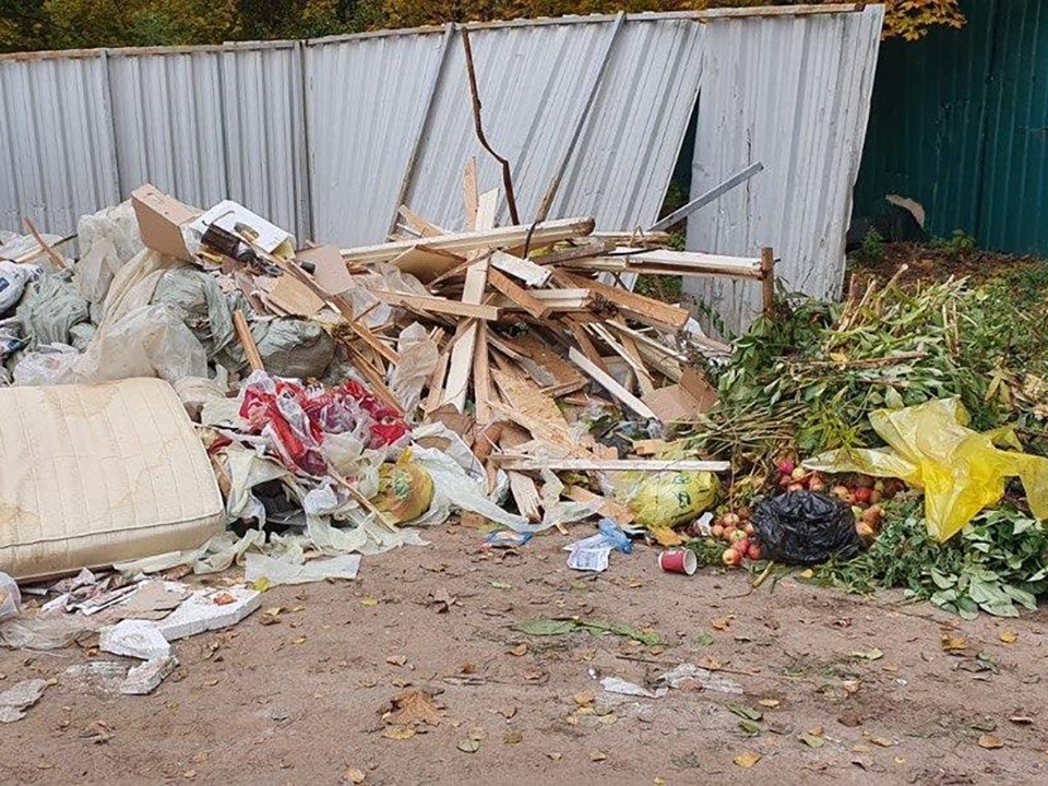 В округе Пушкинский городское хозяйство помогает с вопросами вывоза мусора