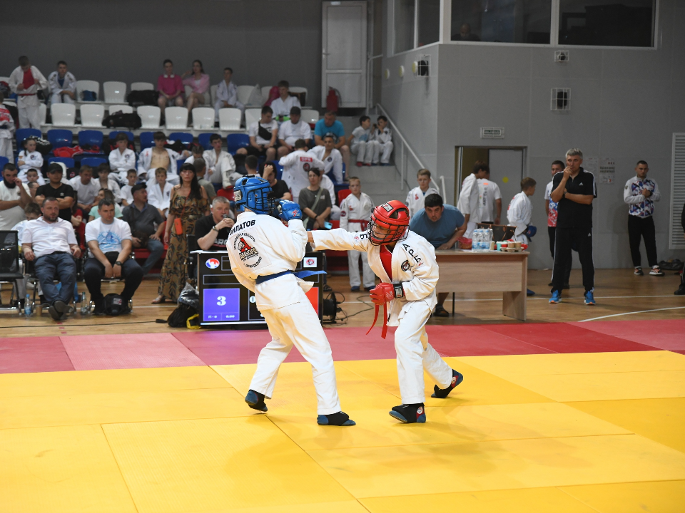Домодедовский спортсмен стал чемпионом международного турнира по единоборствам