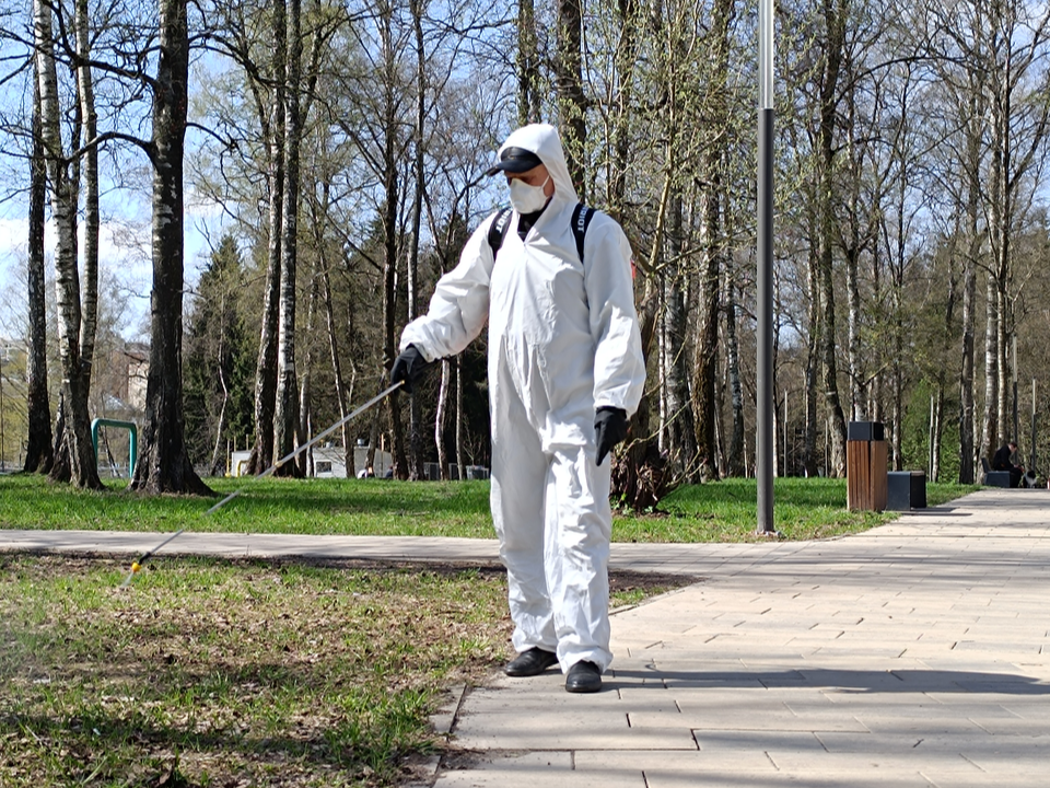 Администрация Раменского парка просит воздержаться от прогулок 16 июня