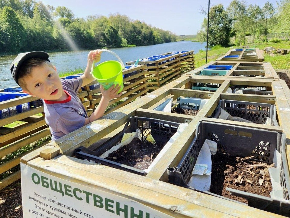 В Сестрорецком парке научат детей делать поделки в выходные