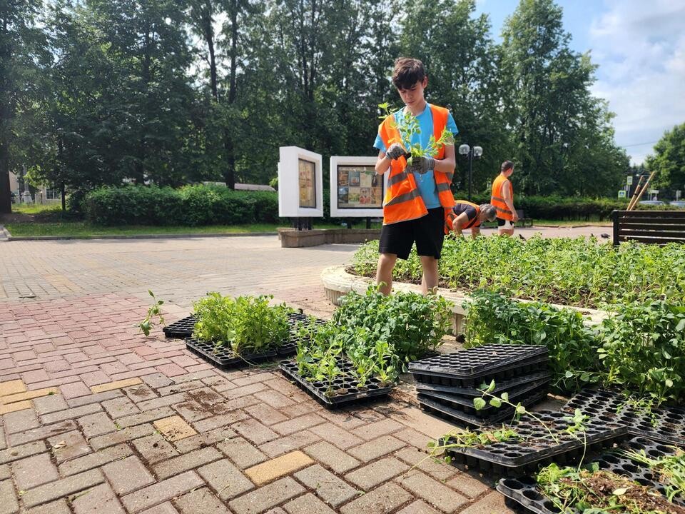 Подростки летом помогают украшать городские клумбы в Пущине