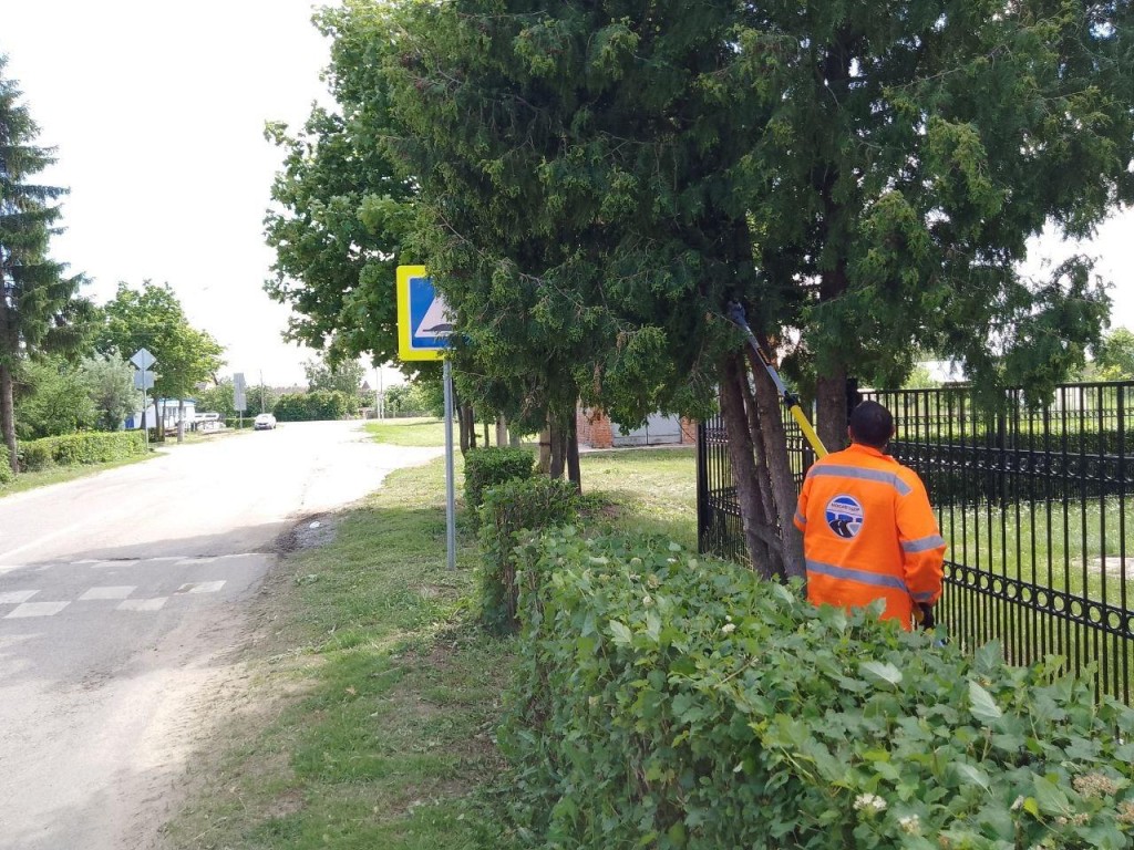 Остановки и дорожные знаки в Солнечногорске привели в порядок