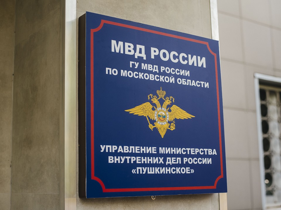 Жители Пушкино смогут пожаловаться полицейскому руководству на киберпреступников