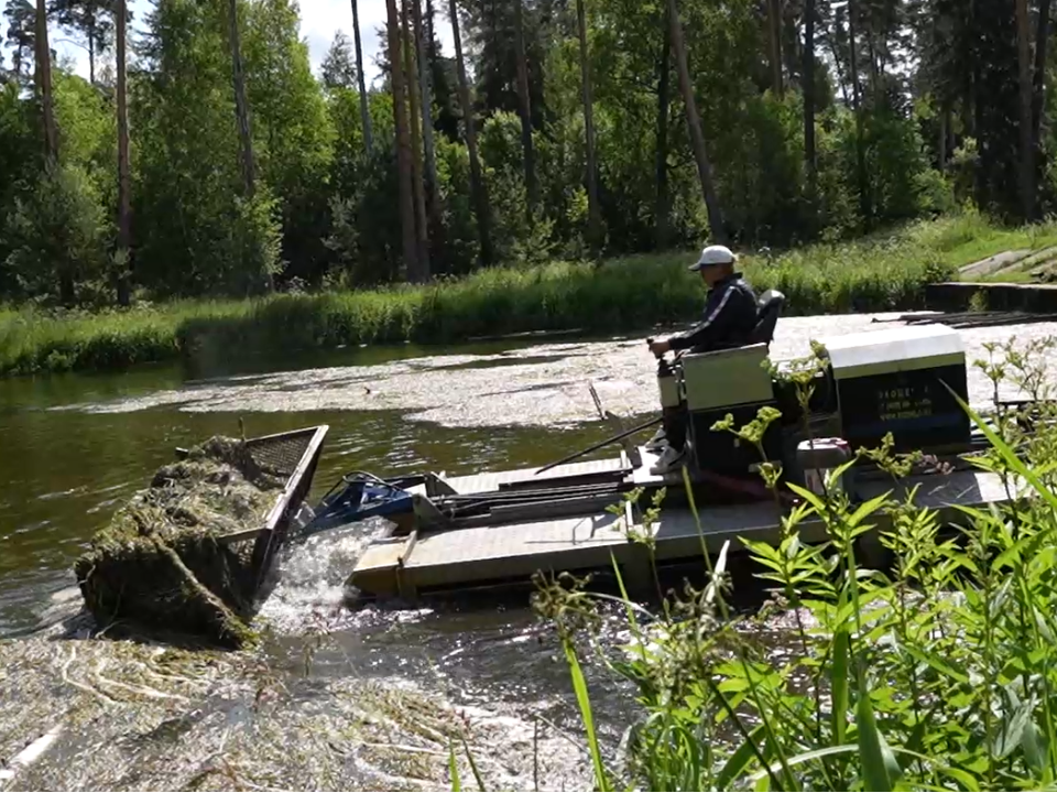 В Пушкинском округе организовали очистку водоемов по программе «100 прудов и озер»