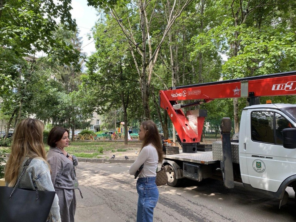 Жители округа Пушкинский помогают коммунальщикам следить за состоянием деревьев