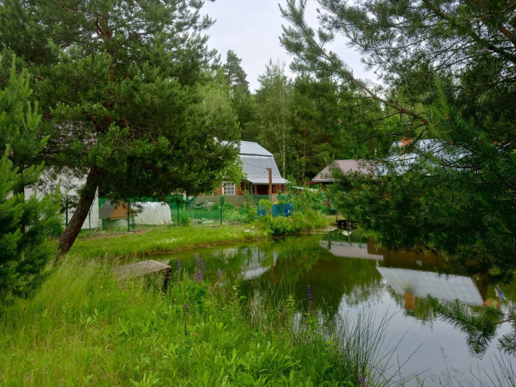 От ₽6 тыс. в сутки: сколько стоит арендовать загородный дом в Егорьевске