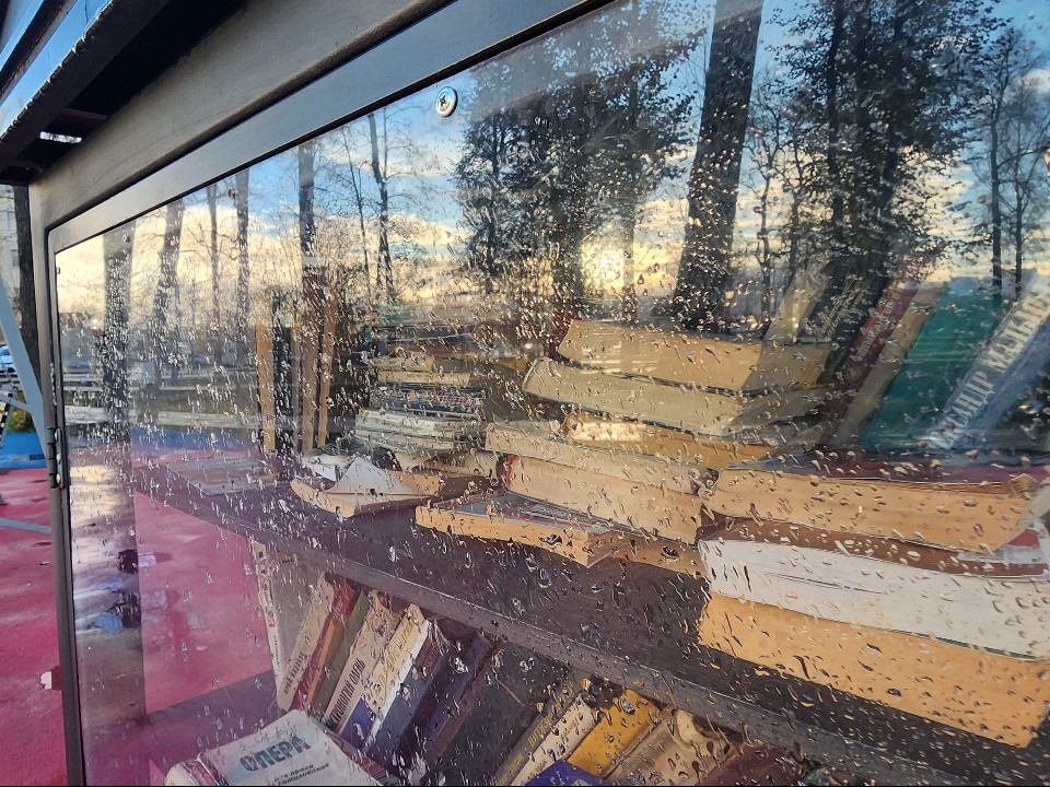 В Кубинке жители осудили вандалов, разбивших общественный книжный шкаф