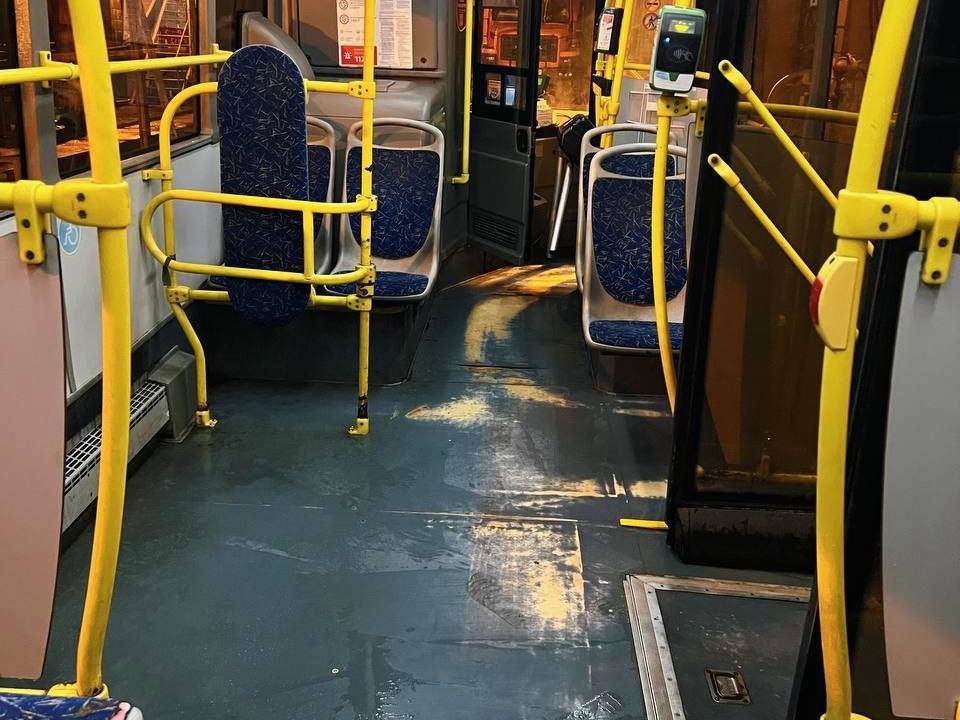 Автобусы Подмосковья стали чище после обращений пассажиров