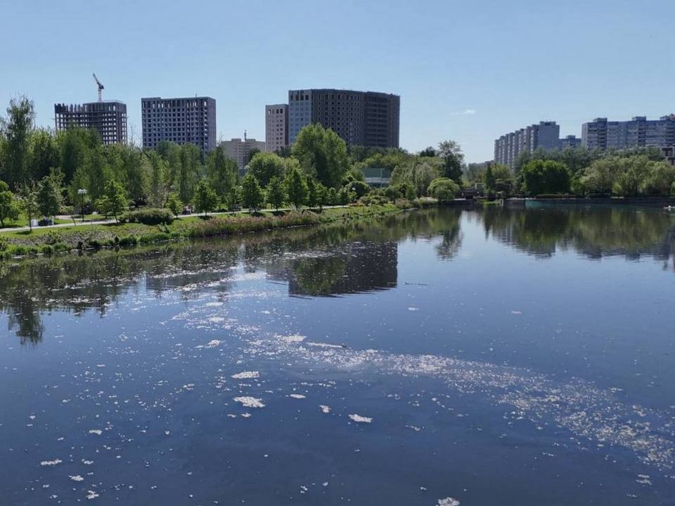 В Мытищах очищают коллектор русла реки Работни