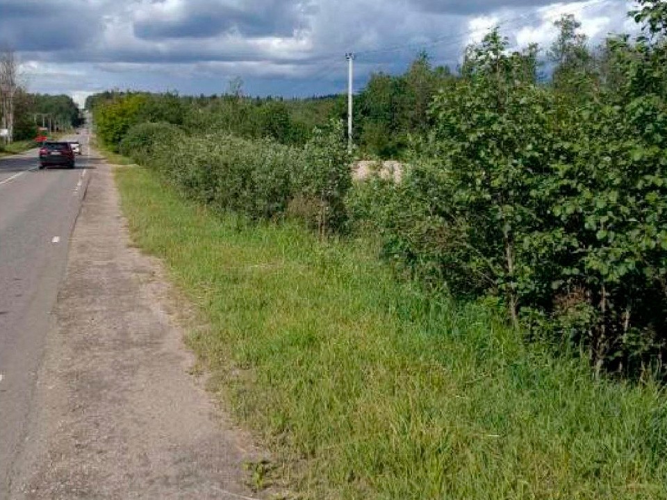 На трассе Солнечногорск – Тараканово – Попелково покосили борщевик