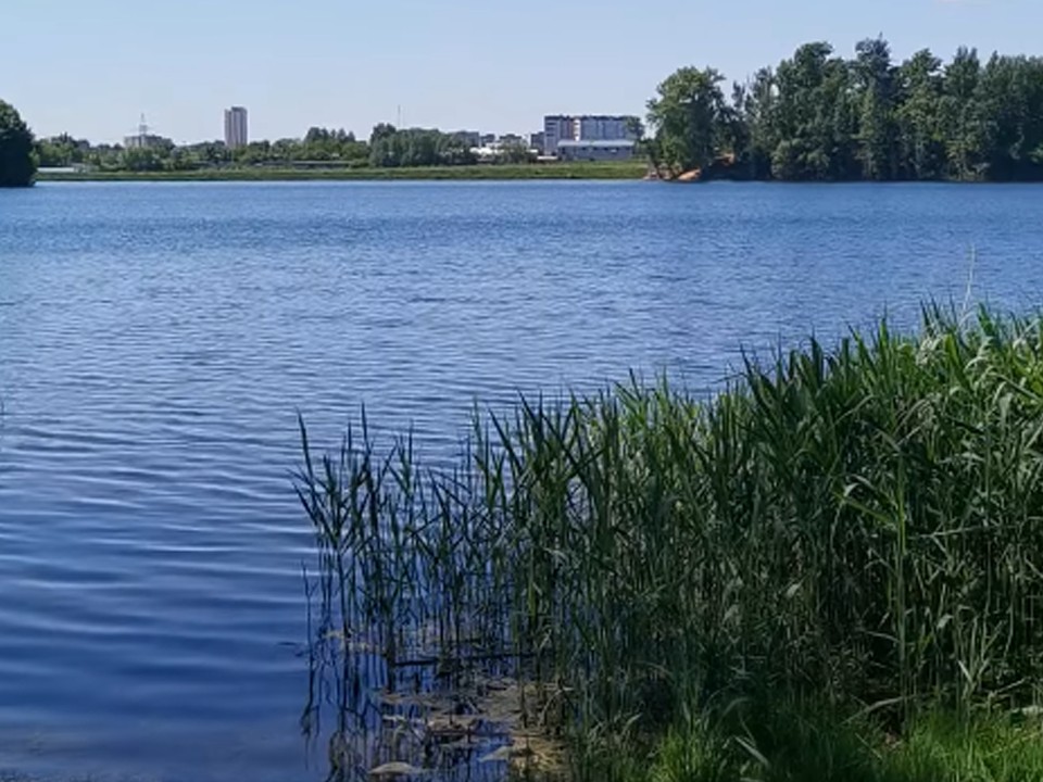 На Красковском карьере в Люберцах обустроят набережную и зону отдыха