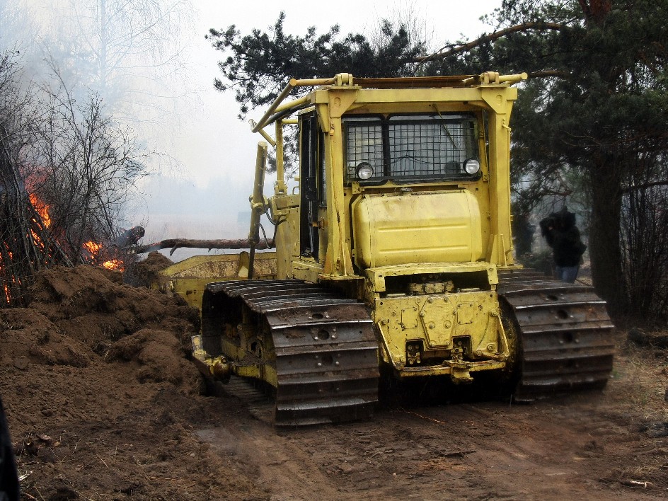 Дожди не уйдут: как это скажется на лесном фонде Подмосковья