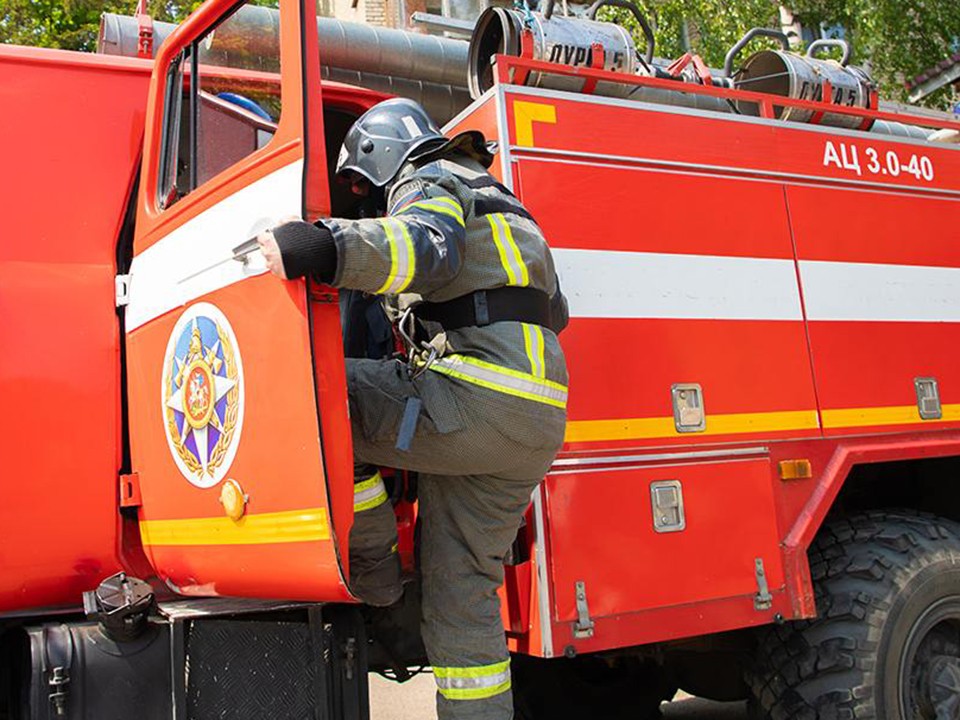 Операцию по спасению застрявшей на фонарном столбе вороны провели во дворе Мытищ