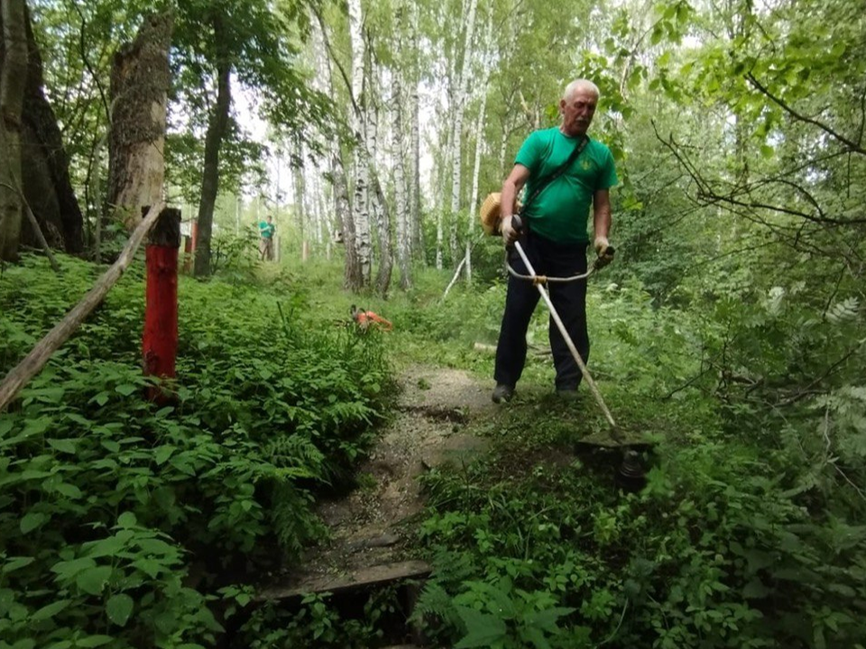 Лесную тропинку к Маливскому роднику расчистили в Коломне