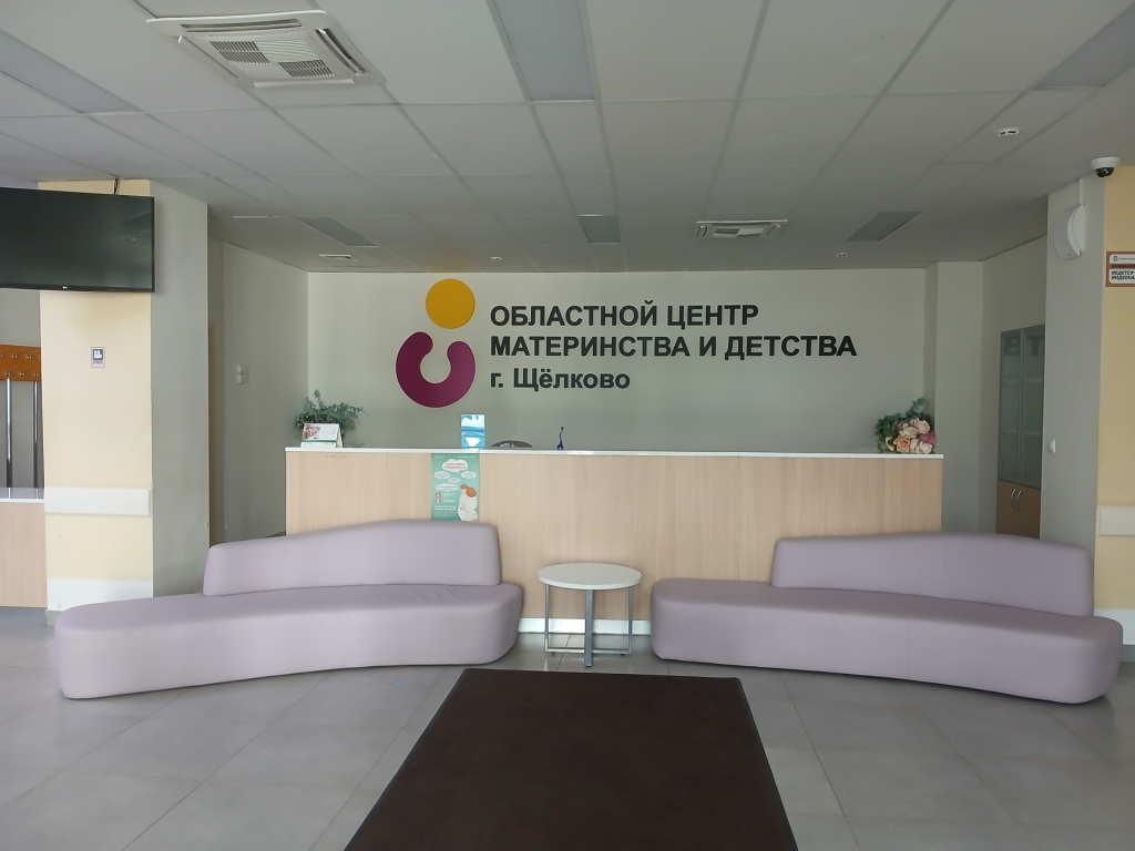 Перинатальный центр в Щелкове проверят на эффективность расходования средств