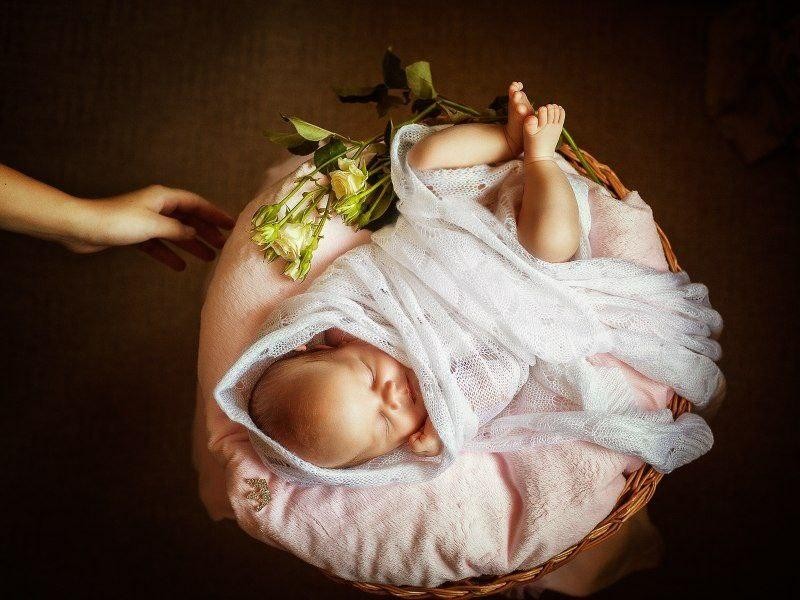 Спартак, Даромир и Лучезара родились в Московской области в этом году