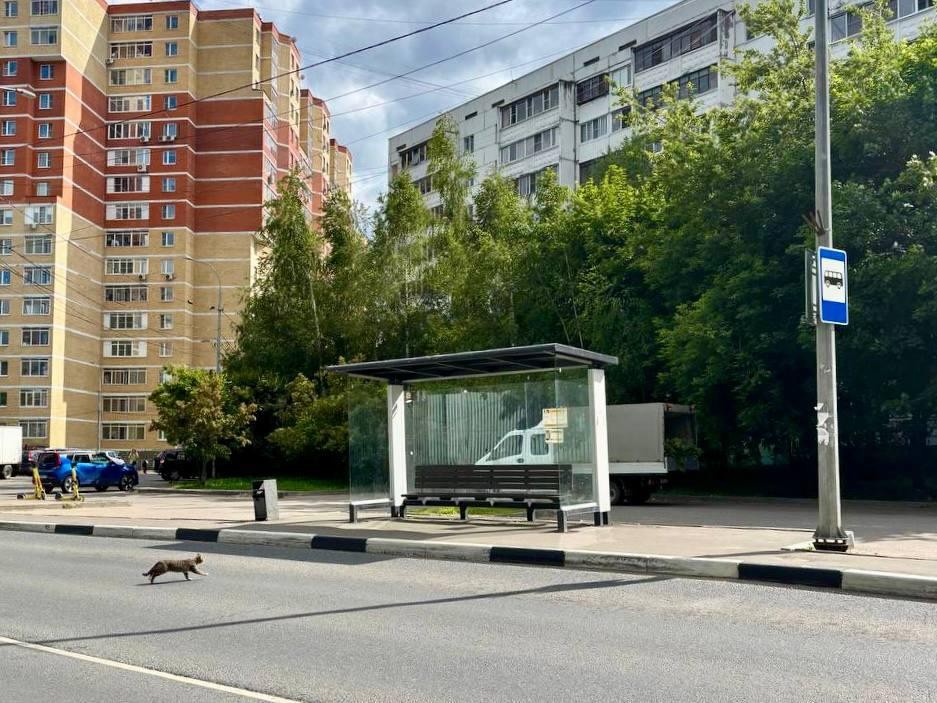 Новые остановки построили в Подмосковье